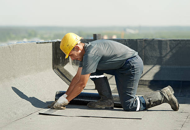 Best Specialized Insulation Services in Slater Marietta, SC